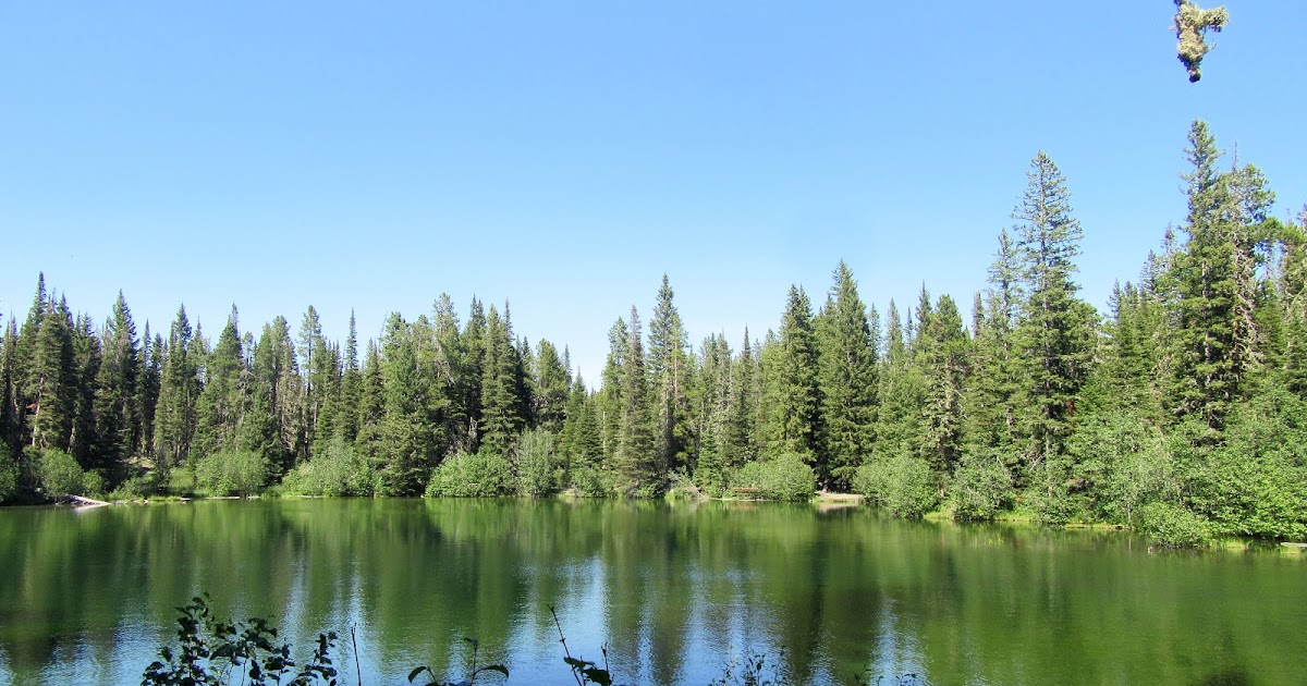 A Return to the Backcountry