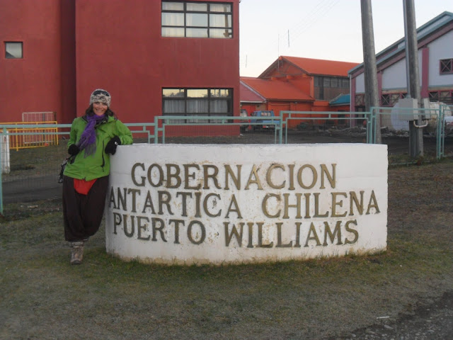 Visitar PUERTO WILLIAMS na Isla Navarino - O Mundo do Fim do Mundo | Chile