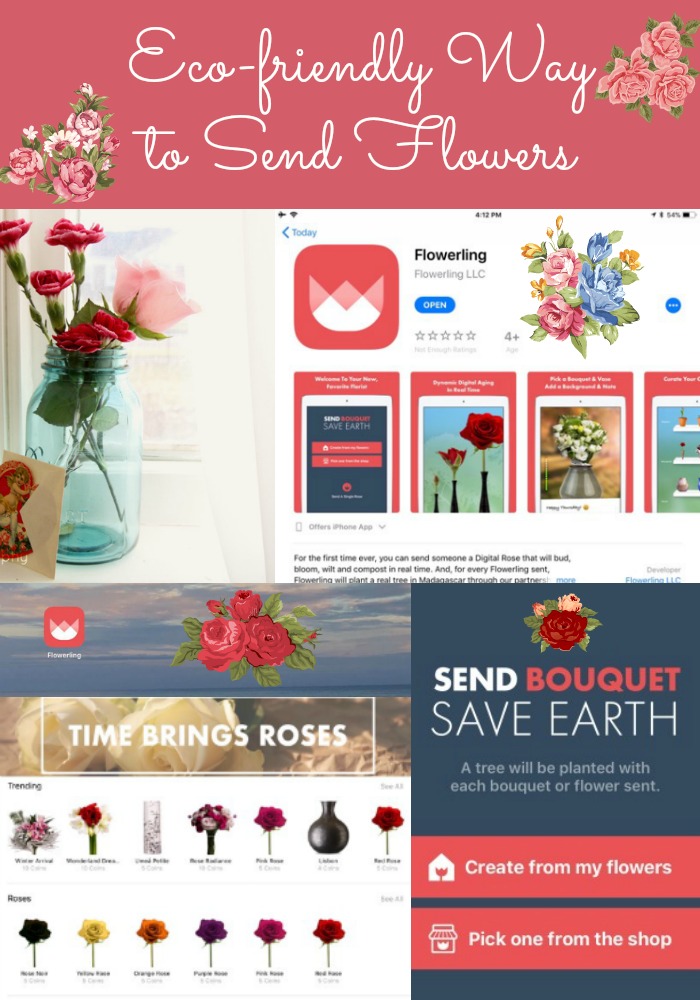 Ecofriendly Way to Send Flowers The Western New Yorker