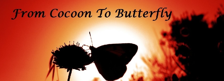 From Cocoon to Butterfly