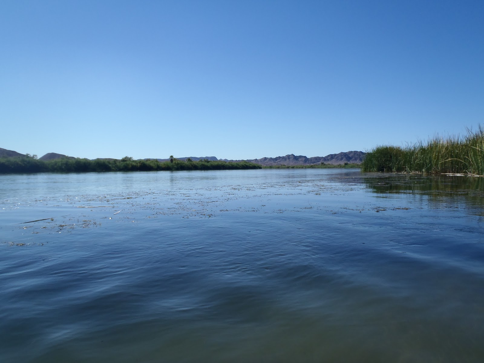 Live2KayakFish Lake Martinez a Hidden Oasis For Big Bass in Yuma AZ