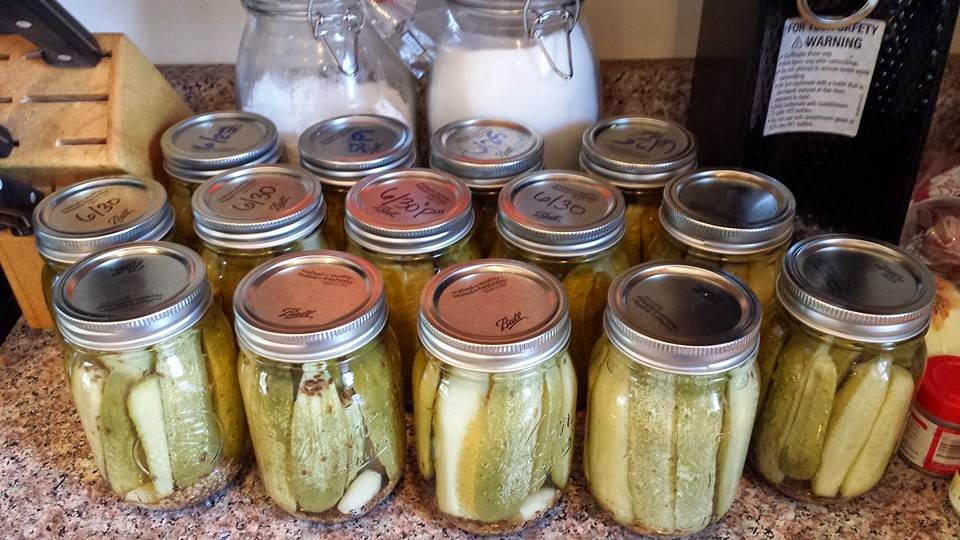 Bitesizemegan Canning Dill Pickles