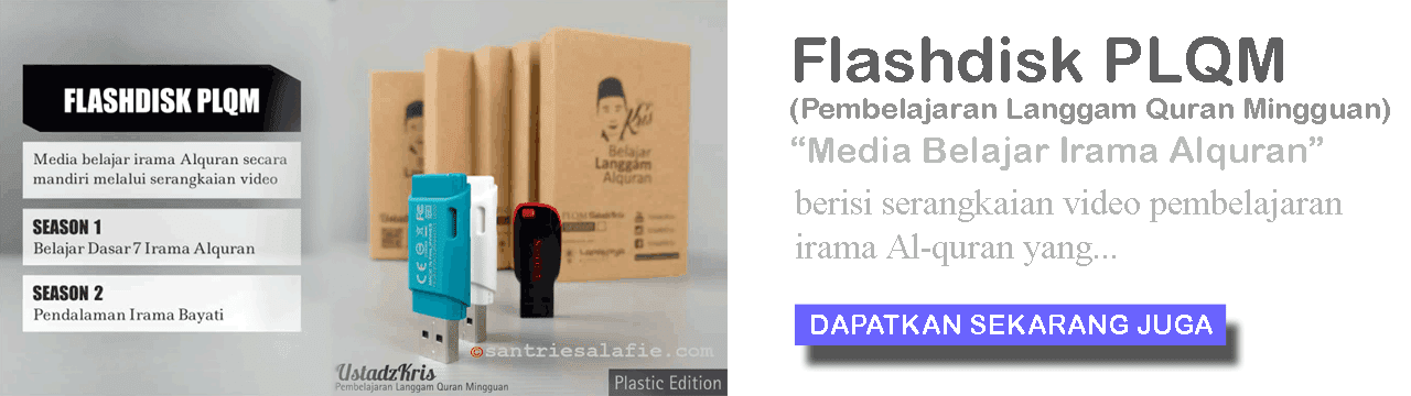 Flash Disk PLQM Flash Disk PLQM