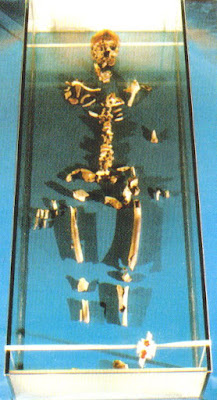 ortona-thomas-skeleton.jpg