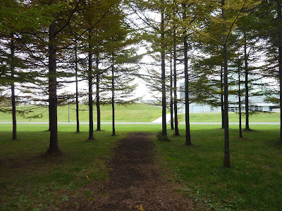 View of dirt path lending out of ring of trees around Sea Fountain at Moerenuma Park (Moerenuma Koen), Sapporo