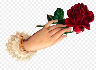 GOOD MORNING GOOD MORNING