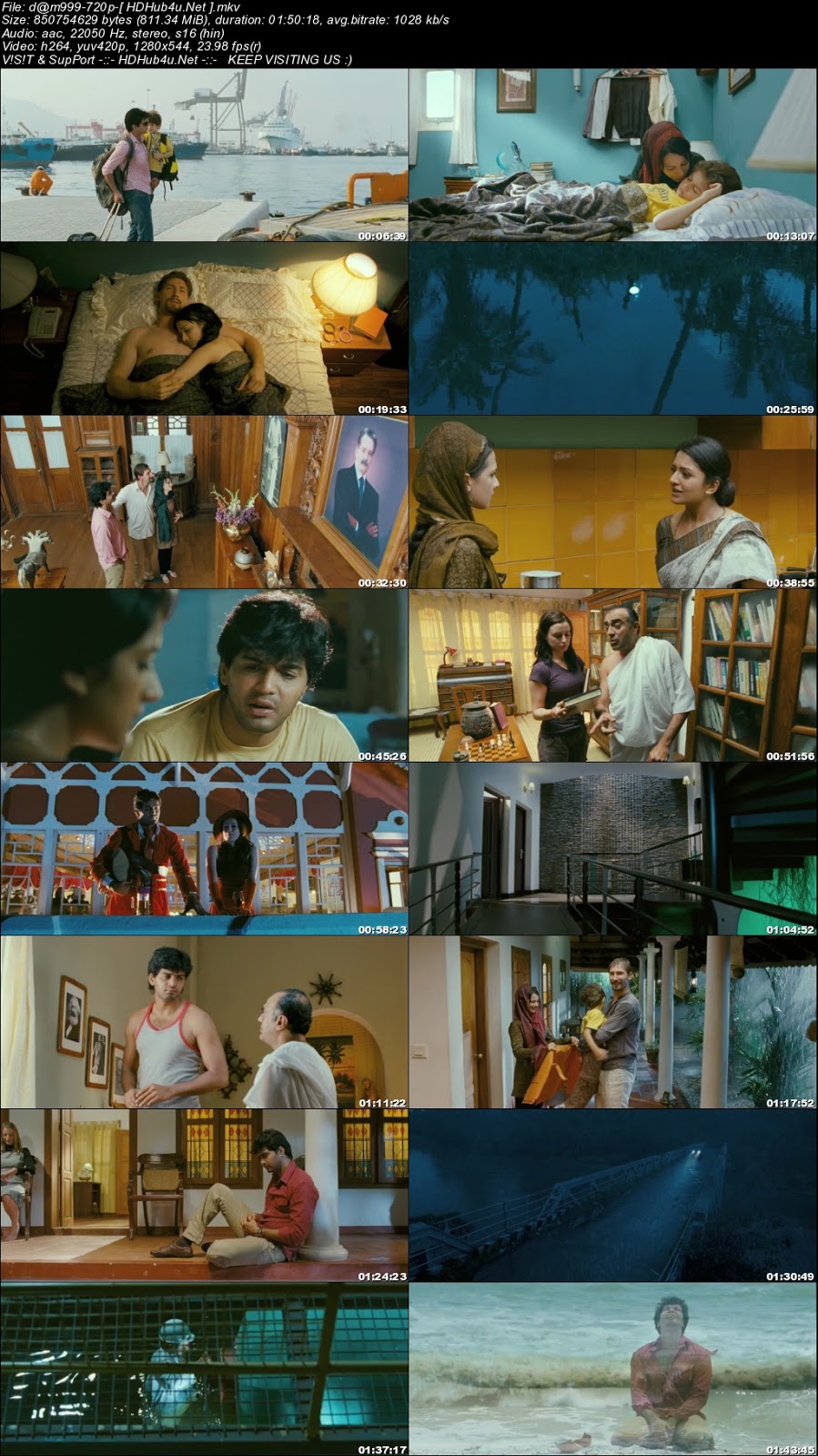 Dam999 (2011) 300MB Hindi Movie 480p BluRay Download