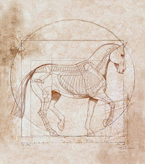 Anatomically Accurate Horse a la Leonardo da Vinci Sale Twomey