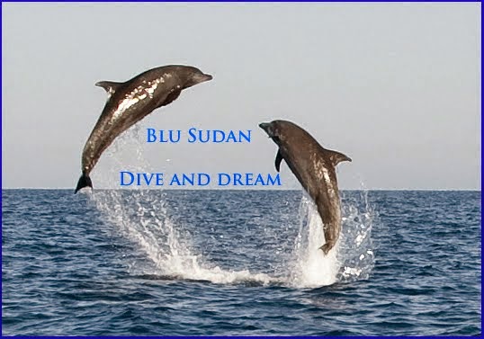 www.blusudan.com