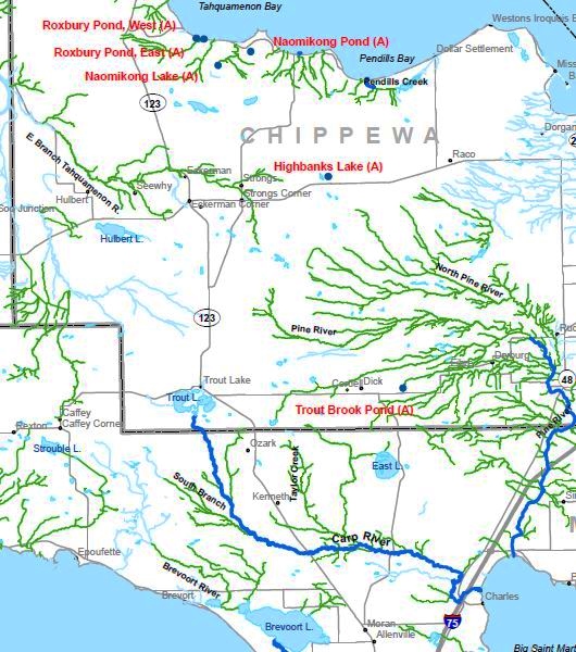 Birch Lodge Blog: Trout Fishing in the Eastern Upper Peninsula