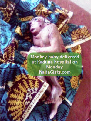 baby with monkey face kaduna monkey like baby in kaduna