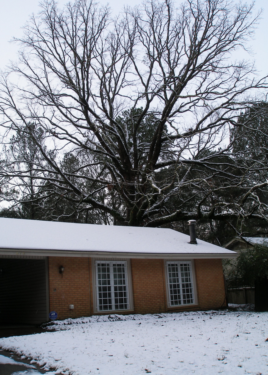ColCampbell's Barracks Snow! In Mississippi