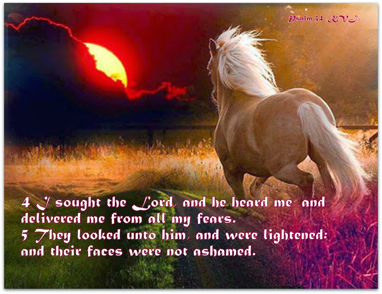 Red Pill Diaries Peace Psalm 34 KJV 