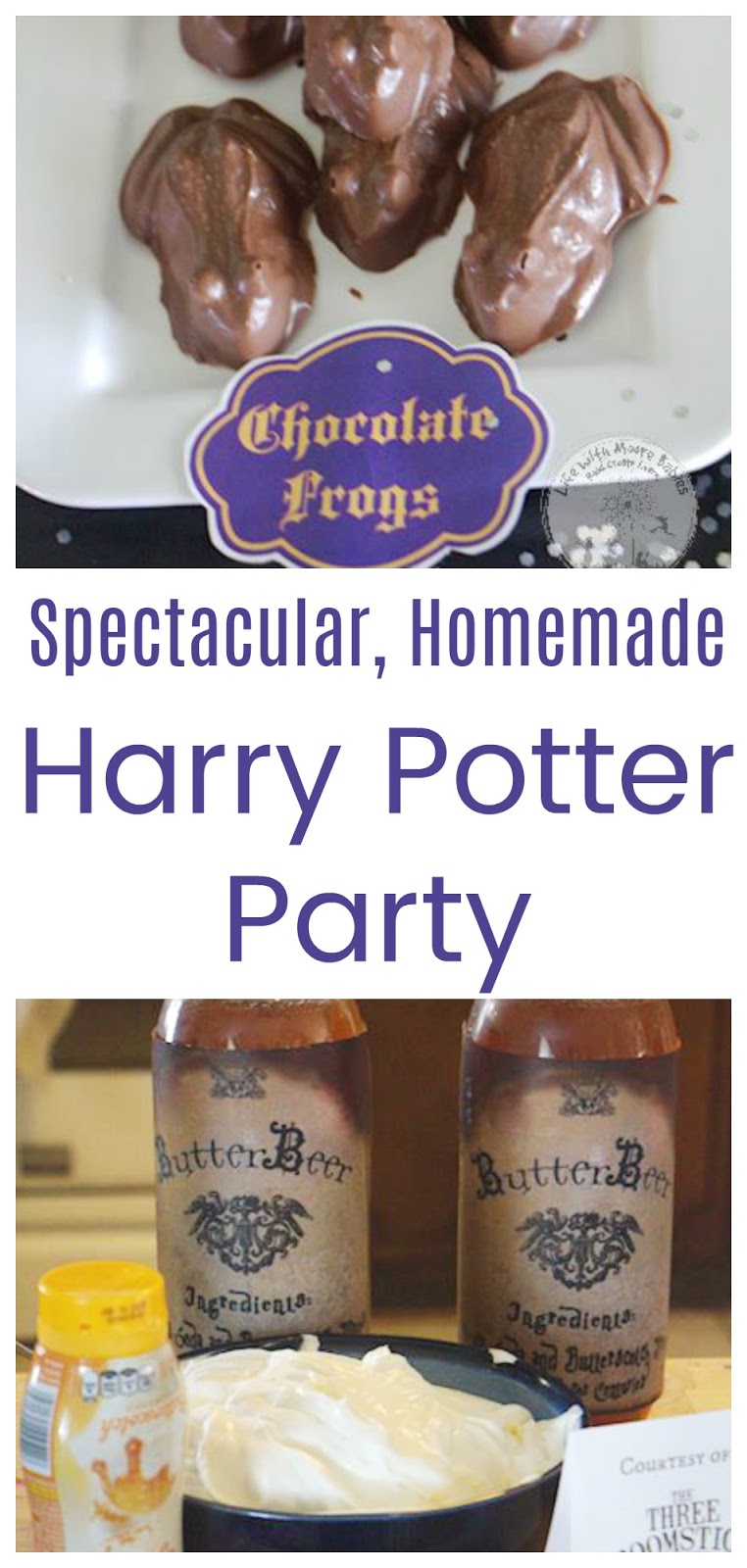 How to Throw a Spectacular, Homemade, Harry Potter Party Life with Moore Babies