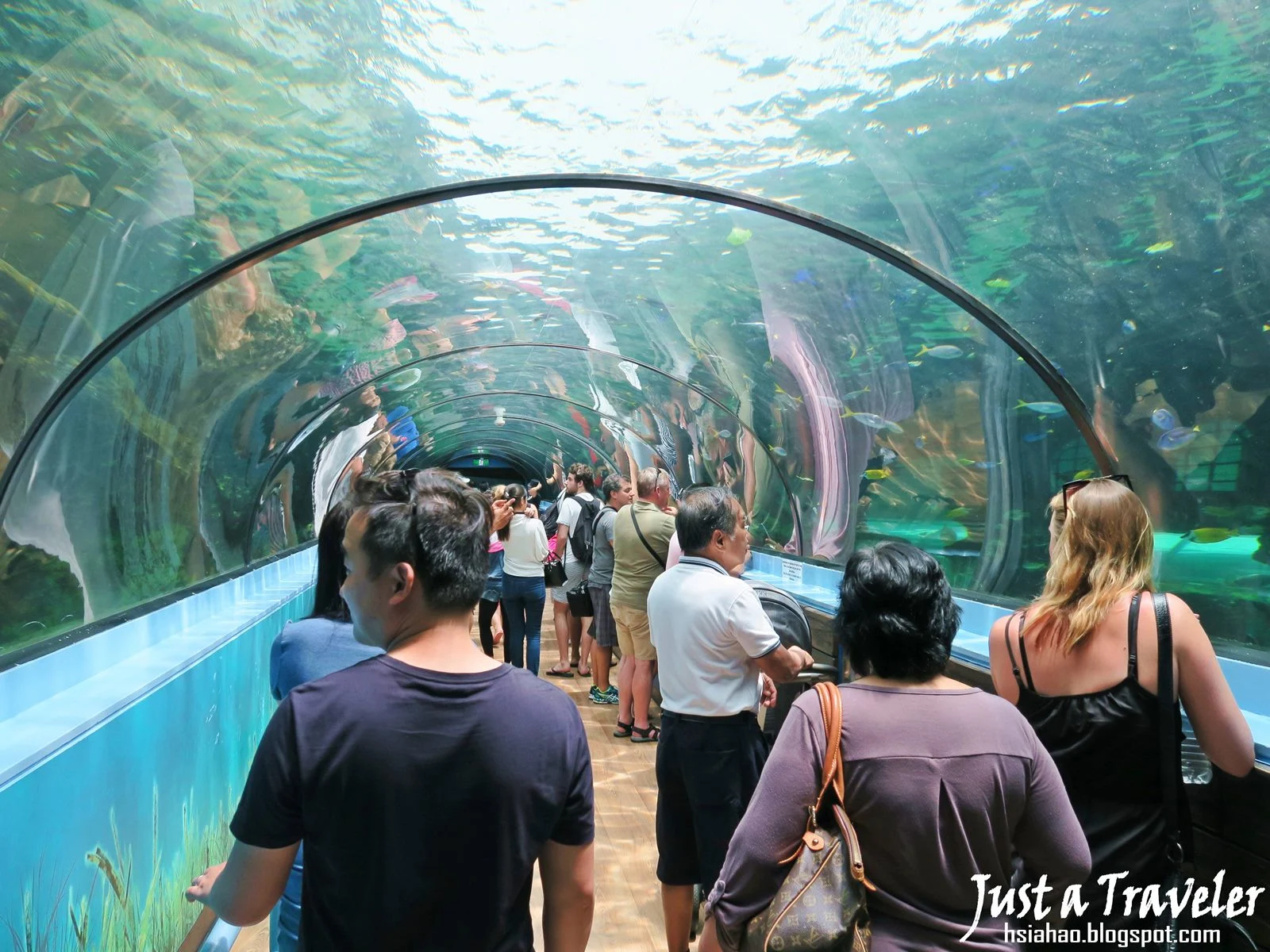 Sydney-Darling-Harbour-SEA-LIFE-Sydney-Aquarium-best-top-tourist-attractions-things-to-do-travel-Australia
