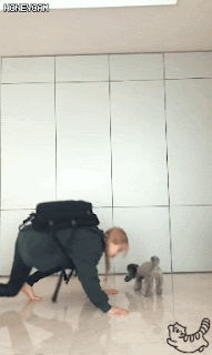 배틀그라운드에 미친 태연이에게 실제로 선물 보내준 PUBG | 인스티즈