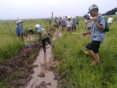 Thư gửi các đại biểu Quốc hội