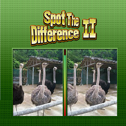  Spot the Difference II
