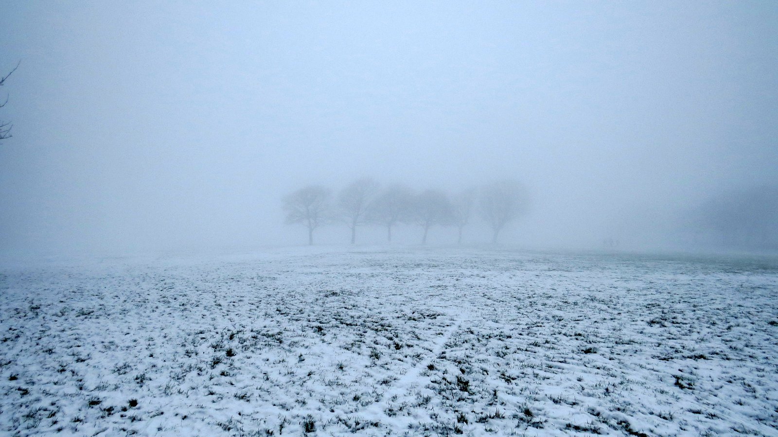 WEST YORKSHIRE BIRDING Queensbury, Milder weather = Fog