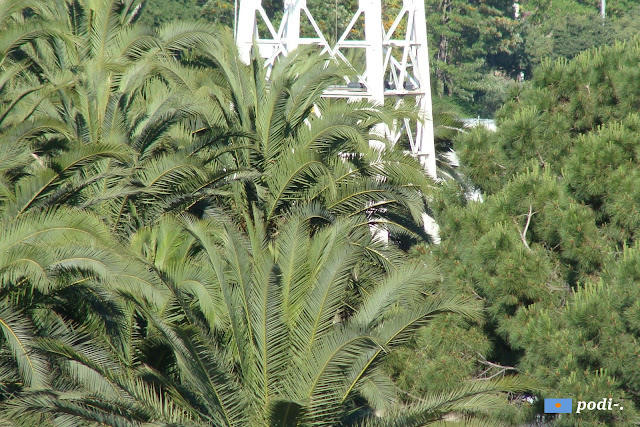 La Florida, avinguda de Catalunya