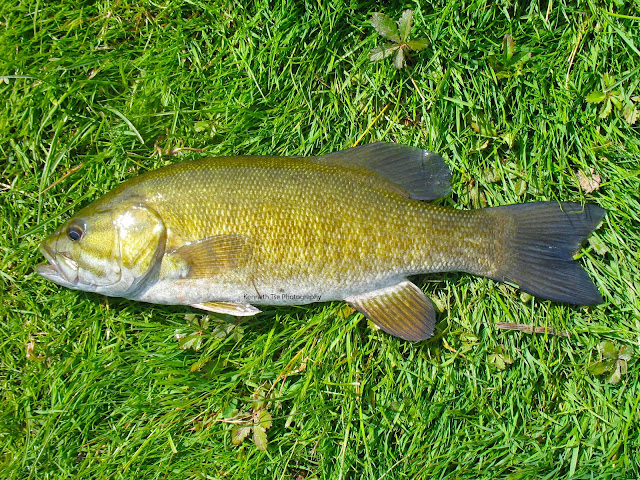 [Image: IMG_2928_post.jpg]