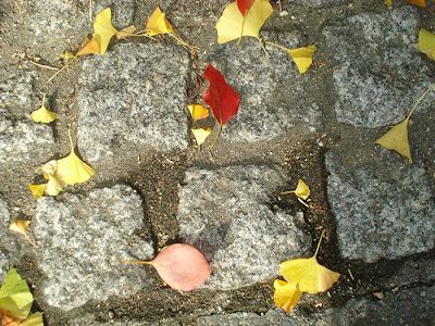 m returning to the province inward Oct in addition to looking frontward to immersing myself inside the b TokyoTouristMap: Autumn inward Nippon Ginkgo & Persimmon