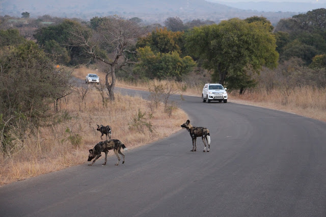 VIAGEM DE OVERLAND - Parte 5 - De Joanesburgo ao Parque Nacional de Kruger