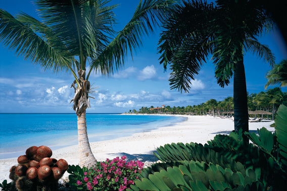 Jumby Bay A Rosewood Resort Antigua Glamorous Luxury Pion Jumby Bay A Rosewood Resort Antigua