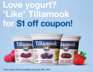 savvy with savings: $1 off TILLAMOOK Yogurt savvy with savings: $1 off TILLAMOOK Yogurt