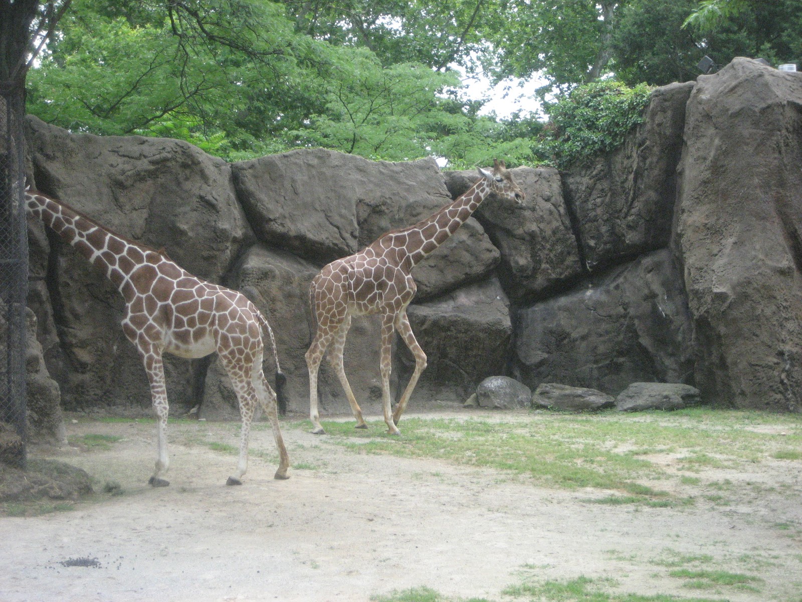 A Practical Approach to Family Summer Fun in Philly: Philadelphia Zoo ...