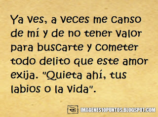 frases para fotos frases para fotos
