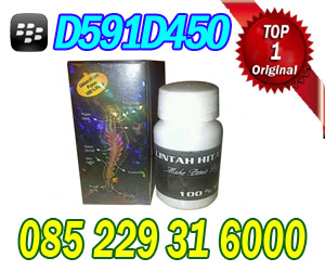 jual minyak lintah papua di bandung jual minyak lintah papua di bandung