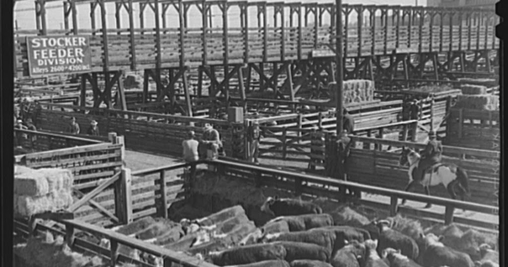 Denver Stockyards 1939, 1941. Big Picture Agriculture