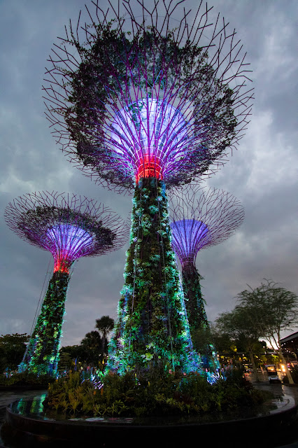 Supertree Grove-Gardens by the bay- Spettacolo di luci e suoni-Singapore