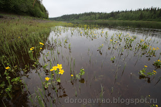 Левый берег реки. Река Цильма - левый приток Печоры. Ненецкий автономный округ. Природа НАО.