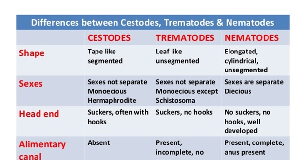 CESTODES AND TREMATODES PDF DOWNLOAD CESTODES AND TREMATODES PDF DOWNLOAD