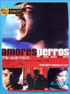 Amores Perros (2000) HD [1080p] Latino [GoogleDrive] DizonHD