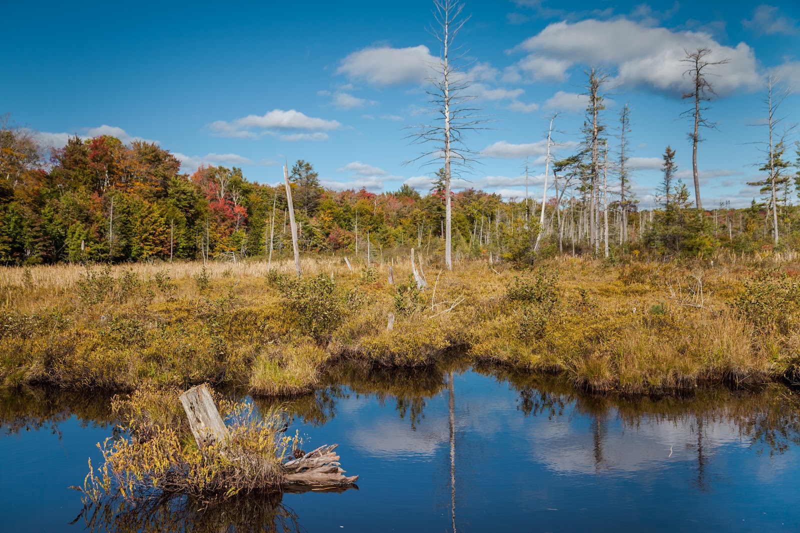 30,000 Islands of Bay The Largest Freshwater Archipelago