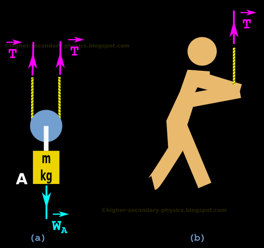 Higher Secondary Physics Chapter 5.17 Strings through Pulleys Solved Examples