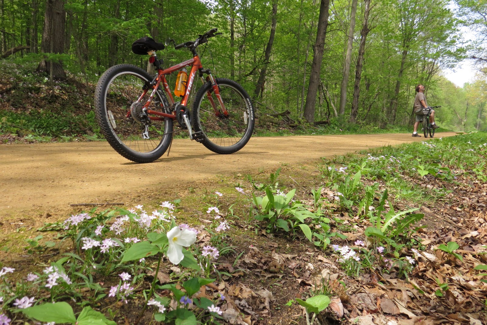 Nomadic Newfies ElroySparta State Bike Trail