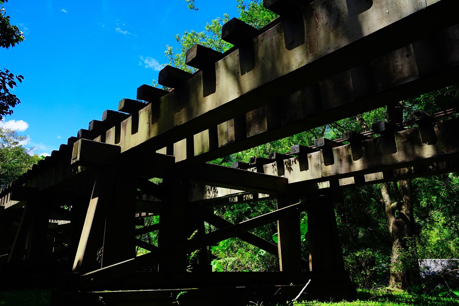 beautyanxiety.com-beautyanxiety.com-cultural-park-forest-DSC08652.jpg