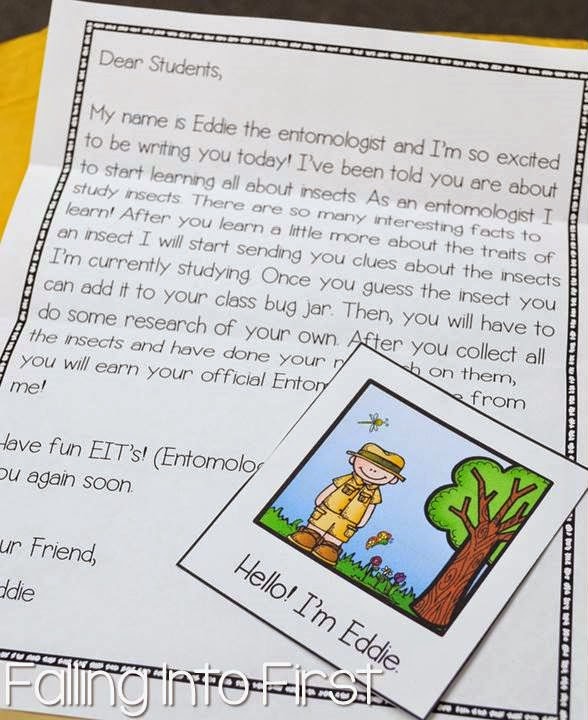 Insect Investigations | Falling into First
