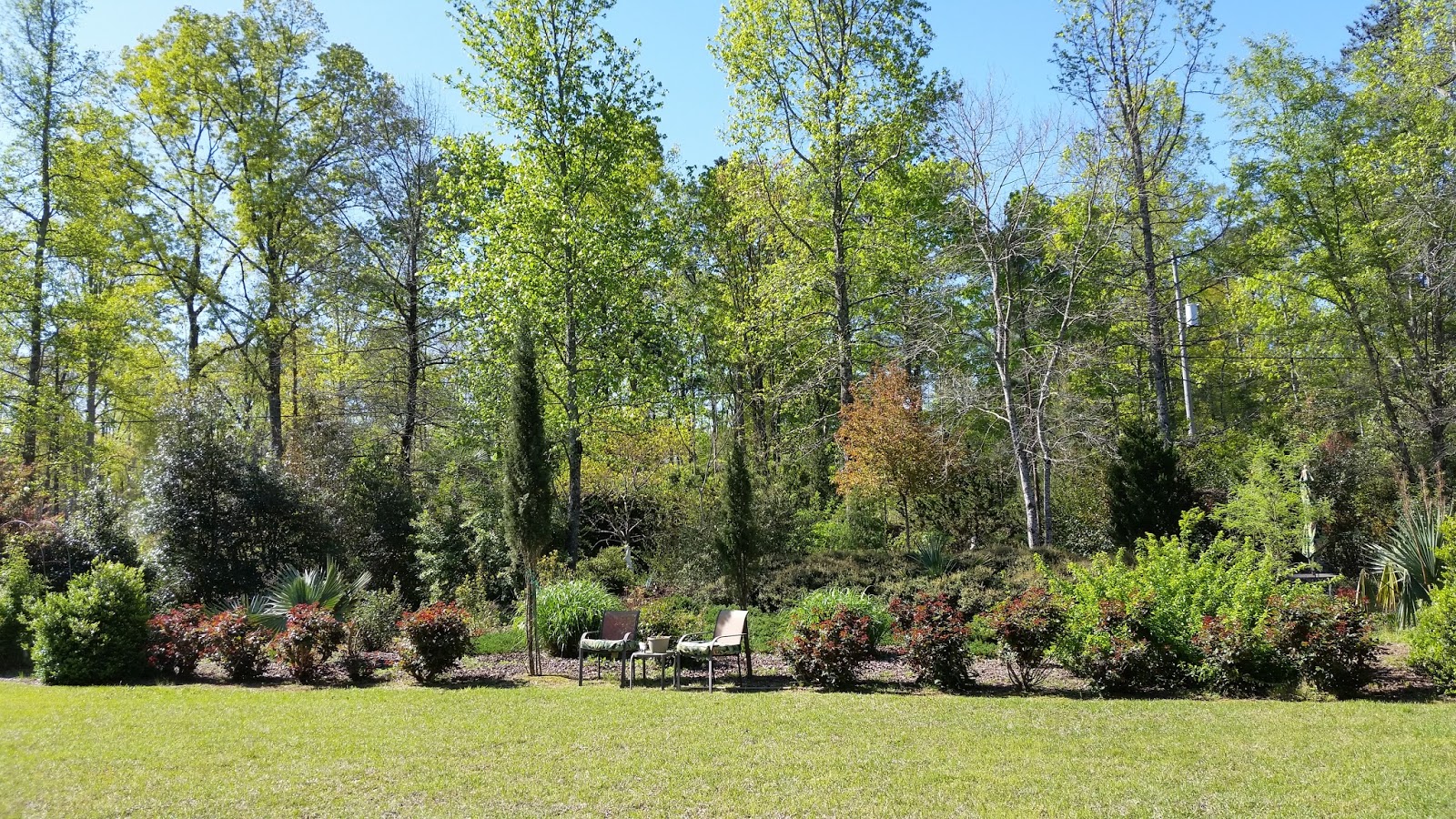 The Episcopal Church Schism In South Carolina The Episcopal Church Schism In South Carolina