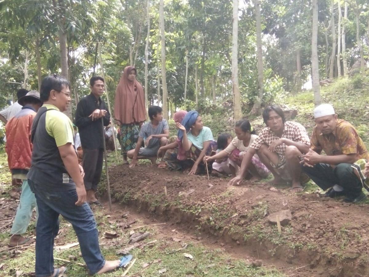 PEMILIHAN JENIS POHON MENENTUKAN PENDAPATAN PETANI DALAM PENGELOLAAN HUTAN RAKYAT (STUDI KASUS KABUPATEN TASIKMALAYA) PEMILIHAN JENIS POHON MENENTUKAN PENDAPATAN PETANI DALAM PENGELOLAAN HUTAN RAKYAT (STUDI KASUS KABUPATEN TASIKMALAYA)