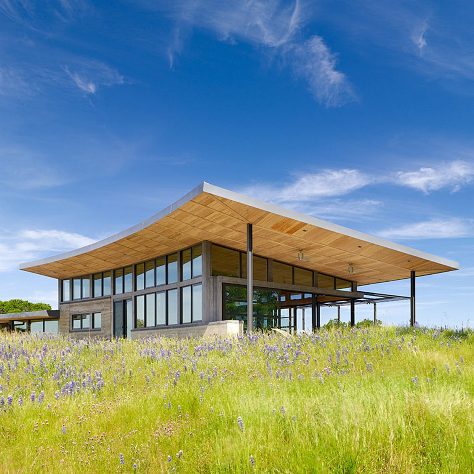 The Beautiful Caterpillar House in Santa Lucia Preserve, California