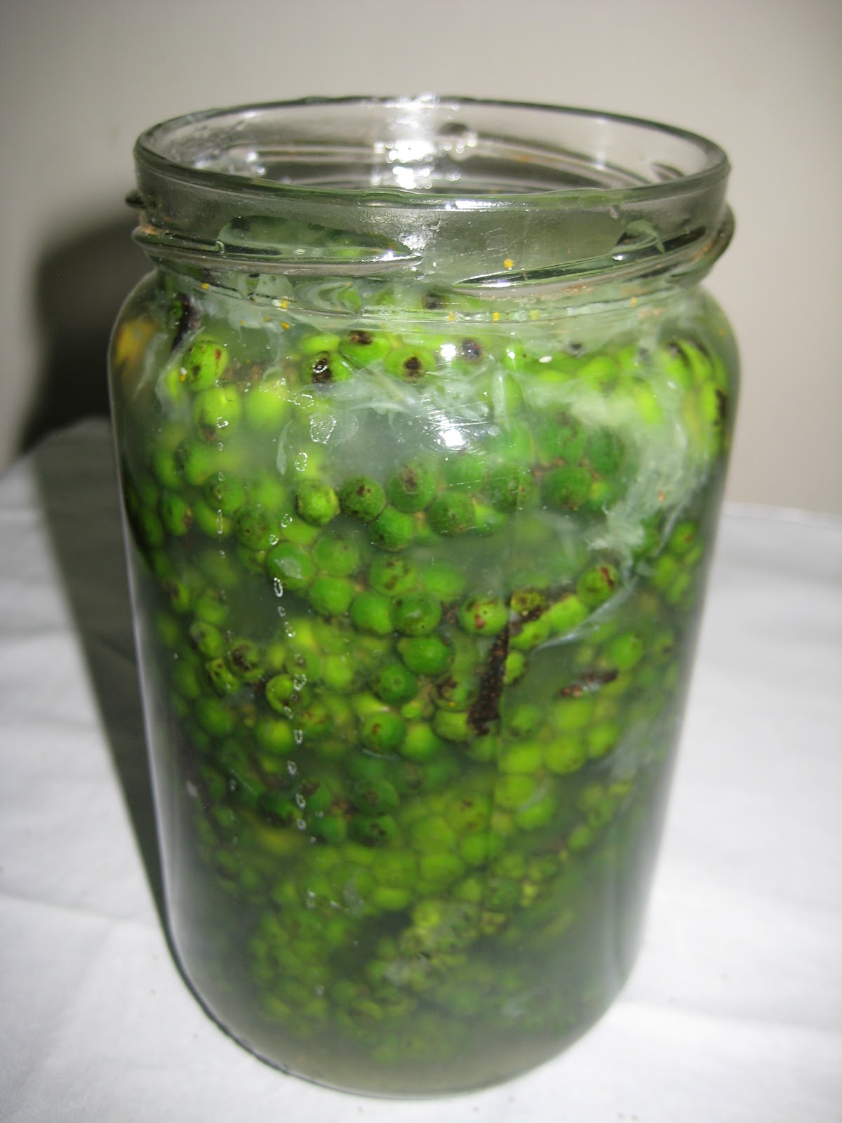 SUJATA'S BLOG To Pickle Green Peppercorns