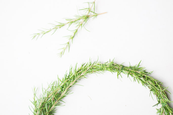 Corona de romero diy