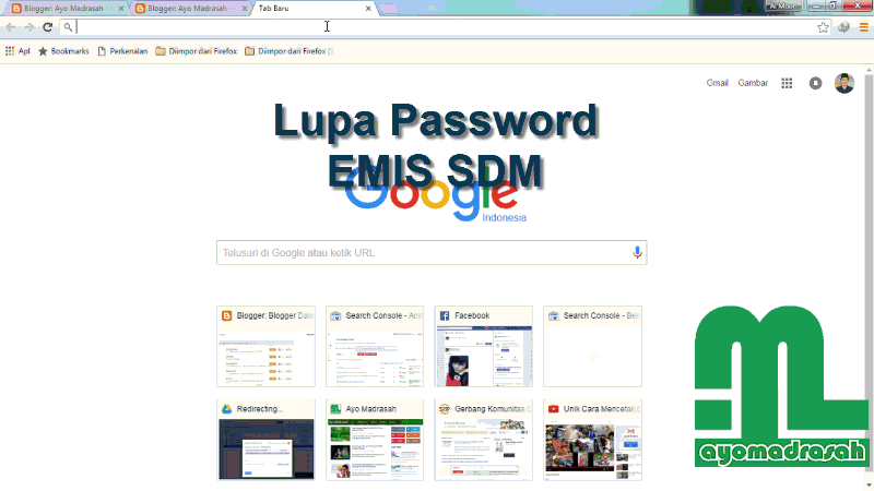 Lupa Password EMIS Online