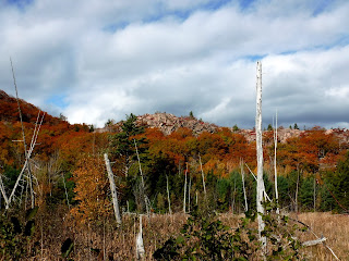 Beehive Swamp in autumn, Acadia National Park