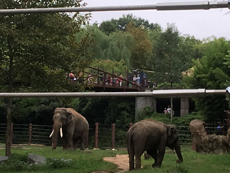 The Zoo Review: Happy New Year (&hellip; for Some)